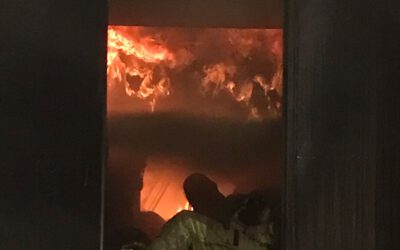 News #2021/46: Brandgewöhnungscontainer