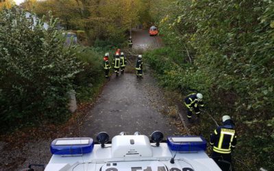News #2022/07: 7 Einsätze in Heikendorf durch Sturmtief Nadia