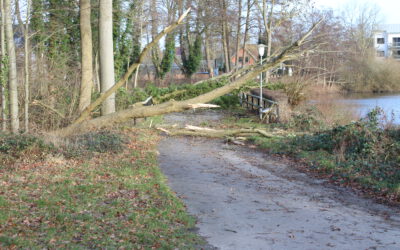 Einsatz #2022-08