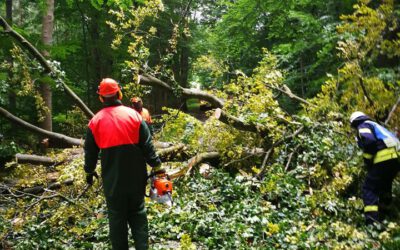 News #2022/11: Vorbereitung auf Sturmtief – Notrufe nur bei Notfällen